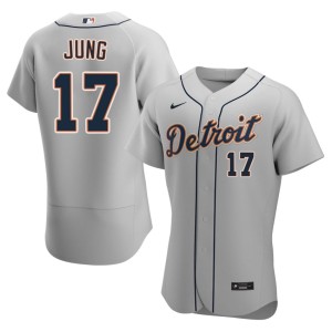 Mens Jace Jung Gray Embroidery The D #17 Jersey 267160-787